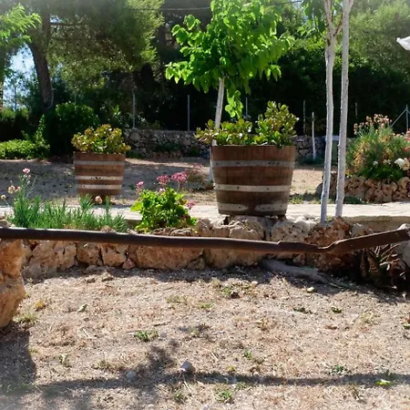 Apartment Fterini Sterna & Alletri Agios Leon